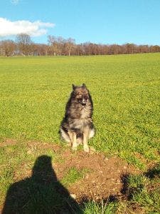 Benutzerfoto